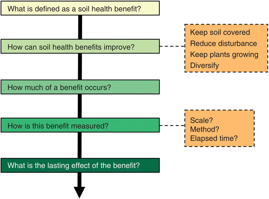 Figure 31 Key soil health research questions and selected responses orange - фото 7