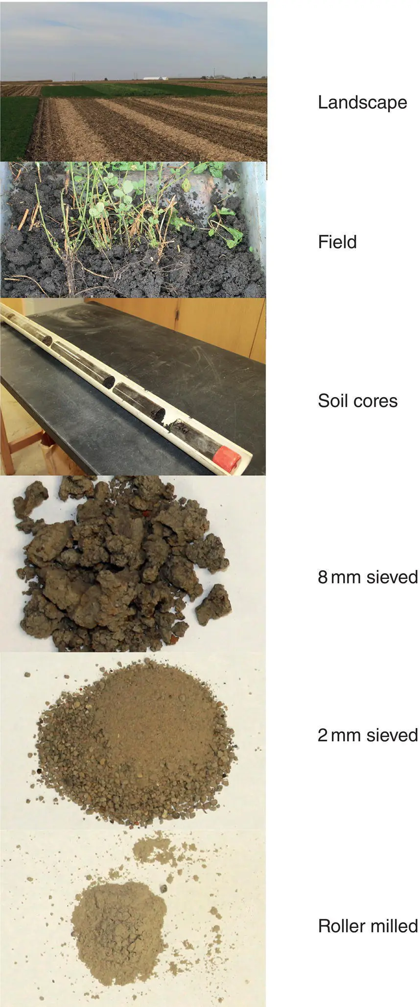Figure 34Potential scales at which soil health indicators can be assessed - фото 10