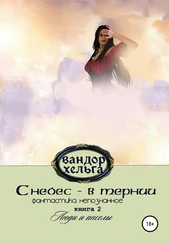 Вандор Хельга - С небес – в тернии. Книга 2