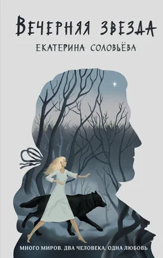 Екатерина Соловьева Вечерняя звезда обложка книги