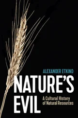 Alexander Etkind - Nature's Evil