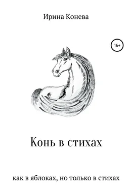 Ирина Конева Конь в стихах обложка книги