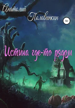 Анатолий Половинкин Истина где-то рядом обложка книги