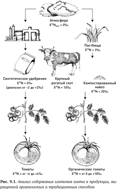 Основной вывод заключался в том что анализ изотопов азота может служить - фото 20