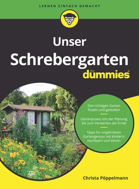 Christa Pöppelmann Unser Schrebergarten für Dummies обложка книги