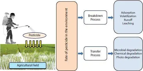 Figure 12 A diagrammatic representation of fate of pesticide in the - фото 3