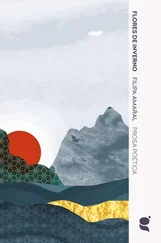 Filipa Amaral - Flores de Inverno