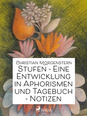 Christian Morgenstern Stufen - Eine Entwicklung in Aphorismen und Tagebuch-Notizen обложка книги