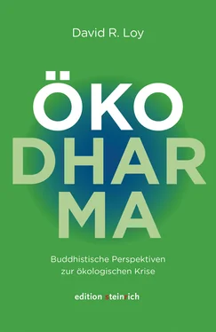 David R. Loy ÖkoDharma обложка книги
