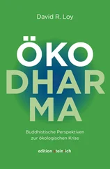 David R. Loy - ÖkoDharma