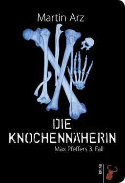 Martin Arz Die Knochennäherin обложка книги