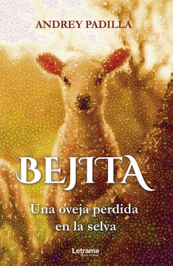 Andrey Padilla Bejita обложка книги