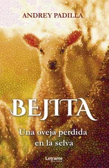 Andrey Padilla - Bejita