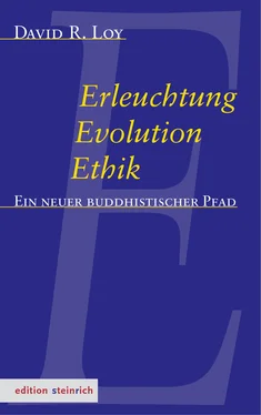 David Loy Erleuchtung, Evolution, Ethik обложка книги