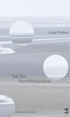 Anne Weber Tal der Herrlichkeiten обложка книги