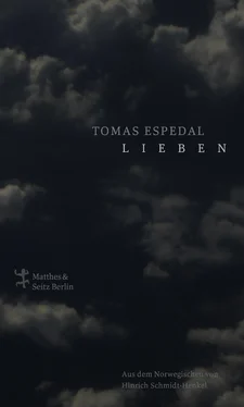 Tomas Espedal Lieben обложка книги
