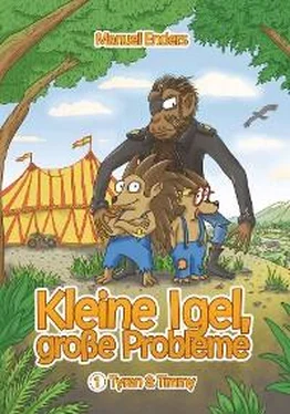 Manuel Enders Kleine Igel – große Probleme обложка книги