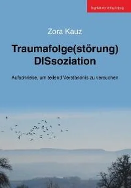 Zora Kauz Traumafolge(störung) DISsoziation обложка книги