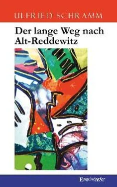 Ulfried Schramm Der lange Weg nach Alt-Reddewitz обложка книги