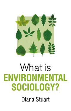 Diana Stuart What is Environmental Sociology? обложка книги