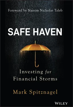Mark Spitznagel Safe Haven обложка книги