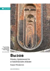 Smart Reading - Ключевые идеи книги - Вызов. Конец тревожности и паническим атакам. Барри МакДонах