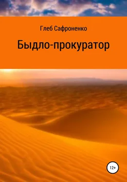 Глеб Сафроненко Быдло-прокуратор обложка книги