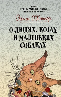 Эйлин О'Коннор О людях, котах и маленьких собаках обложка книги