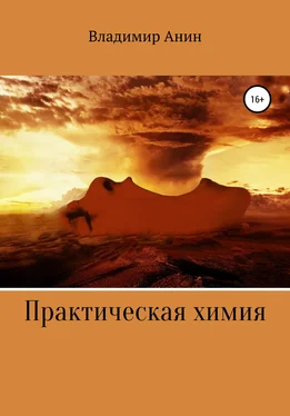 Владимир Анин Практическая химия обложка книги