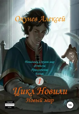 Алексей Окунев Цикл «Новили». Книга 1. Новый мир обложка книги