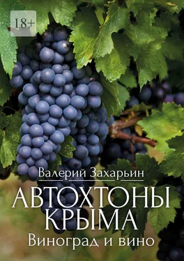 Валерий Захарьин Автохтоны Крыма. Виноград и вино обложка книги