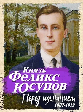 Феликс Юсупов Перед изгнанием. 1887-1919 обложка книги