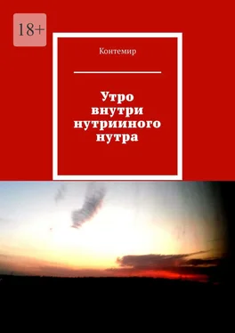 Контемир Утро внутри нутрииного нутра обложка книги