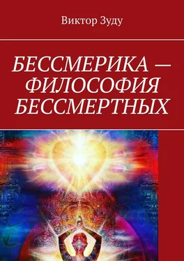 Виктор Зуду Бессмерика – философия бессмертных обложка книги