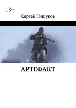 Сергей Тишуков Артефакт обложка книги