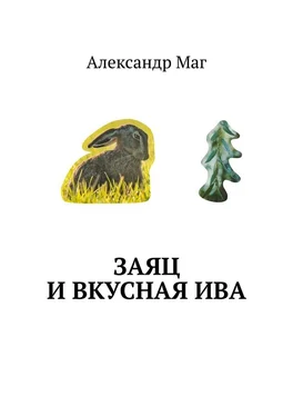 Александр Маг Заяц и вкусная ива обложка книги