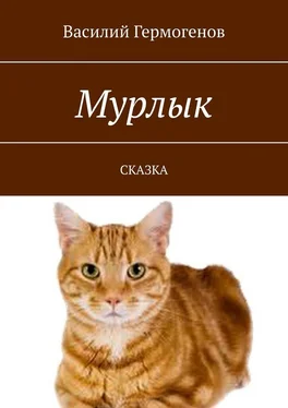 Василий Гермогенов Мурлык. Сказка обложка книги