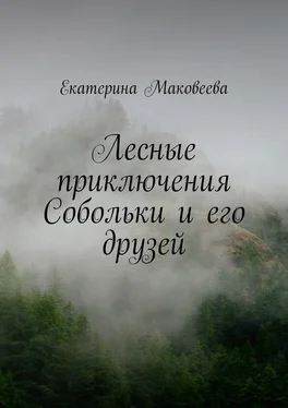 Екатерина Маковеева Лесные приключения Собольки и его друзей обложка книги