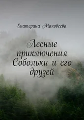 Екатерина Маковеева - Лесные приключения Собольки и его друзей