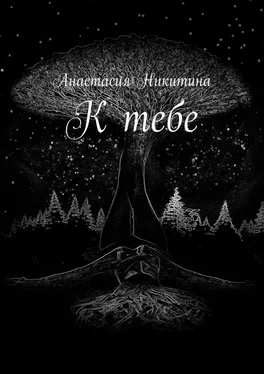 Анастасия Никитина К тебе обложка книги