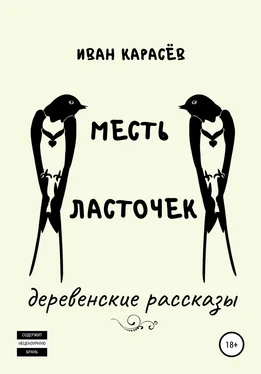 Иван Карасёв Месть ласточек. Деревенские рассказы обложка книги