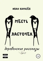 Иван Карасёв - Месть ласточек. Деревенские рассказы