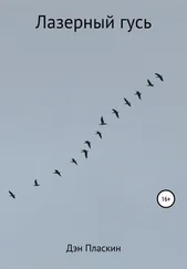 Дэн Пласкин - Лазерный гусь