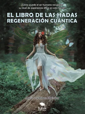 María José Ribas Albendea El libro de las hadas: regeneración cuántica обложка книги