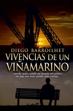 Diego Barroilhet Vivencias обложка книги