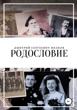 Дмитрий Мелков Родословие обложка книги