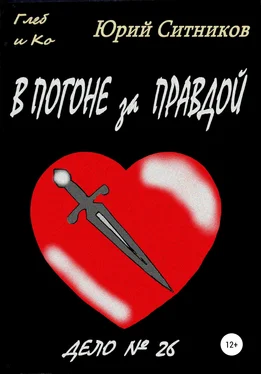 Юрий Ситников В погоне за правдой обложка книги