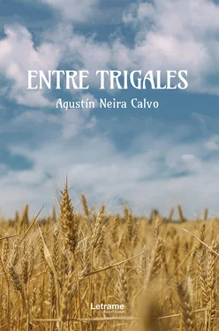 Agustín Neira Calvo Entre trigales обложка книги