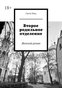 Света Тень Второе родильное отделение. Женский роман обложка книги