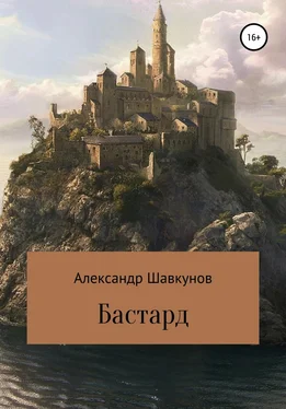Александр Шавкунов Бастард обложка книги